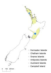 Adiantum formosum distribution map based on databased records at AK, CHR & WELT.
 Image: K.Boardman © Landcare Research 2020 CC BY 4.0